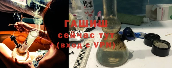 spice Новодвинск