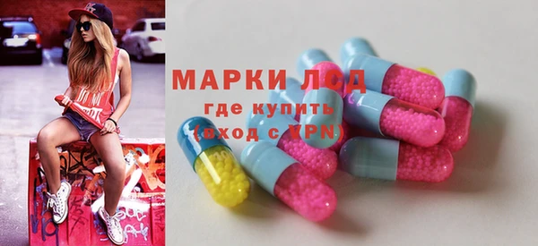 spice Новодвинск