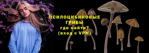 соль ск Новозыбков
