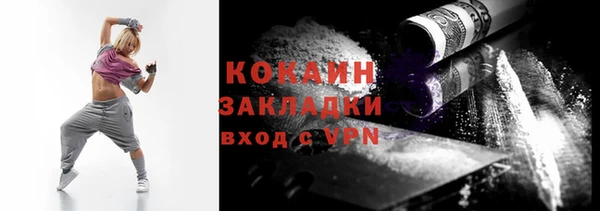 соль ск Новозыбков