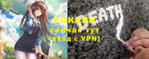 spice Новодвинск