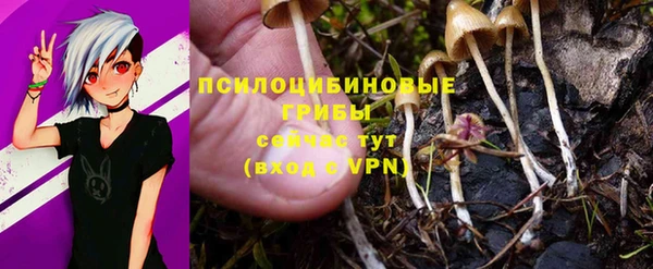 соль ск Новозыбков
