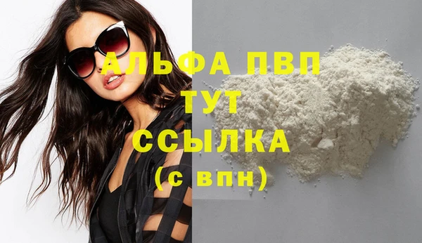 spice Новодвинск