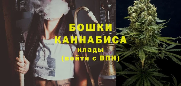 соль ск Новозыбков