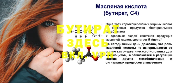 соль ск Новозыбков