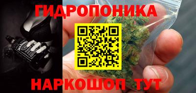 прущие крисы Гай