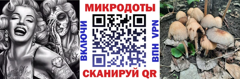 как найти   Советский  Псилоцибиновые грибы прущие грибы 
