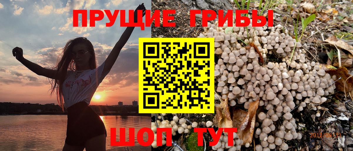 Советский  Псилоцибиновые грибы мицелий  Вход с VPN  Псилоцибиновые грибы MAGIC MUSHROOMS 