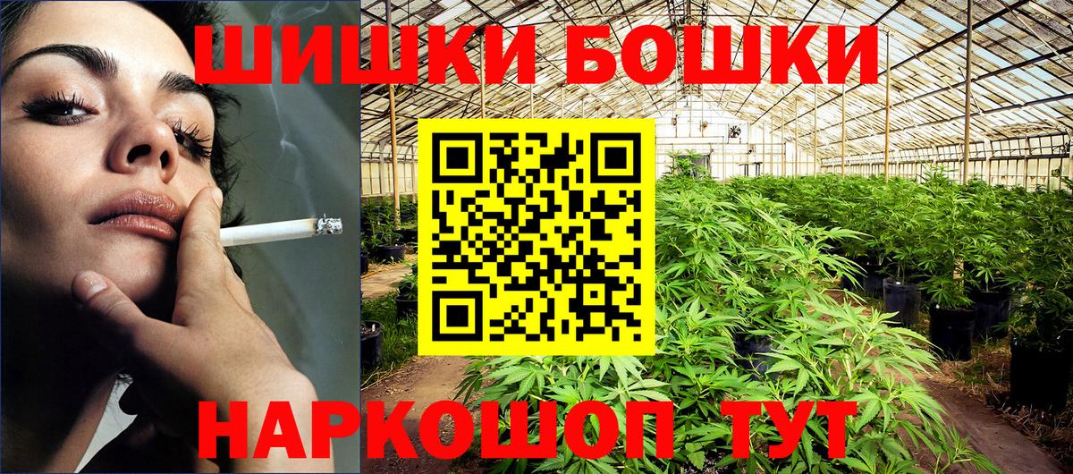 Каннабис планчик  Советский  МАРИХУАНА Ganja  Марихуана VHQ  Бошки марихуана сатива 